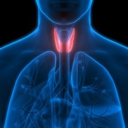 rak-shchitovidnoy-zhelezy-simptomy-prichiny-diagnostika-i-lechenie