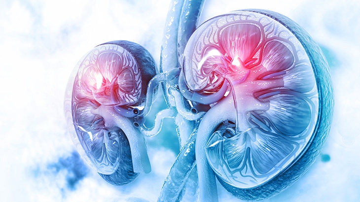 pochechnaya-nedostatochnost-diagnostika