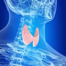 khirurgiya-udaleniya-shhitovidnoj-zhelezy