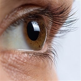 peresadka-rogoviczy-glaza